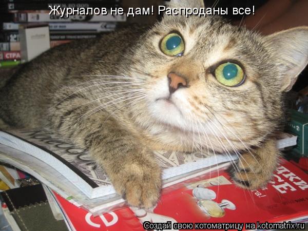 Котоматрица: Журналов не дам! Распроданы все!