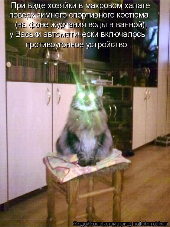 Котоматрица: При виде хозяйки в махровом халате поверх зимнего спортивного костюма противоугонное устройство... у Васьки автоматически включалось (на ф