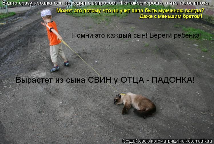 Котоматрица: Видно сразу, крошка сын не ходил с вопросом: Что такое хорошо, а что такое плохо. Может это потому, что не учит папа быть мужчиною всегда?  Даж