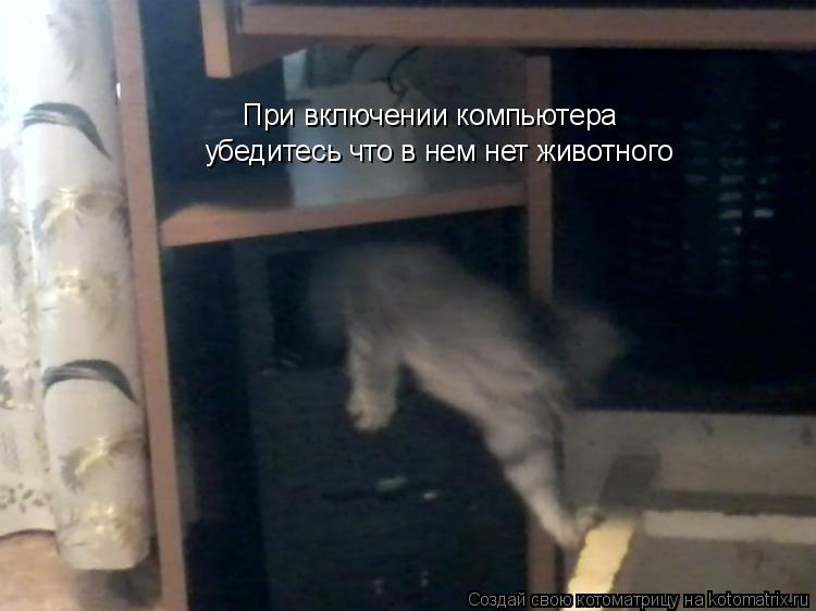 Котоматрица: При включении компьютера убедитесь что в нем нет животного