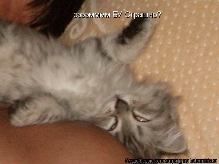 Котоматрица: ээээмммм БУ Страшно?