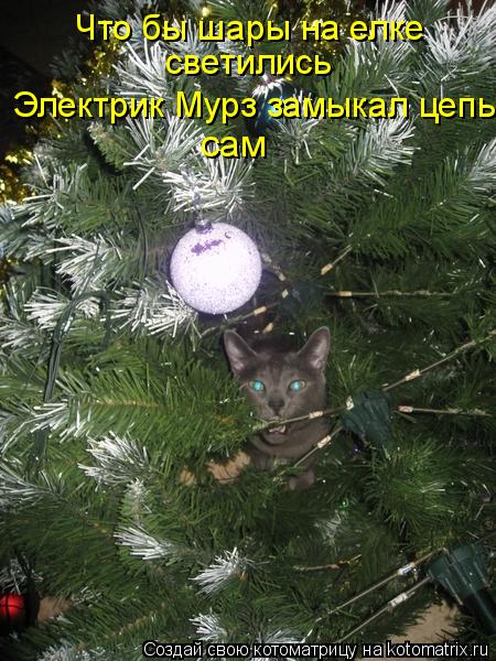 Что бы шары на елке светились Электрик Мурз замыкал цепь сам... Котоматрица: Что бы шары на елке светились Электрик Мурз замыкал цепь сам