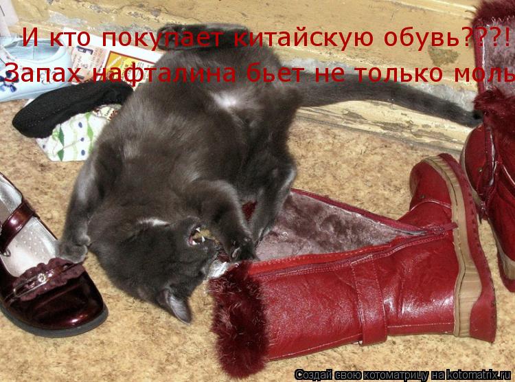 И кто покупает китайскую обувь???! Запах нафталина бьет не только моль... Котоматрица: И кто покупает китайскую обувь???! Запах нафталина бьет не только моль