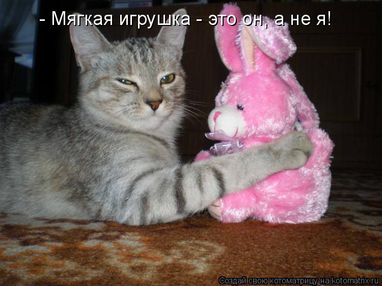 Котоматрица: - Мягкая игрушка - это он, а не я!