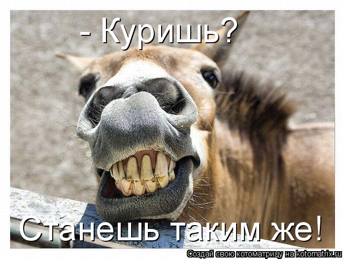 Котоматрица: - Куришь?  Станешь таким же!