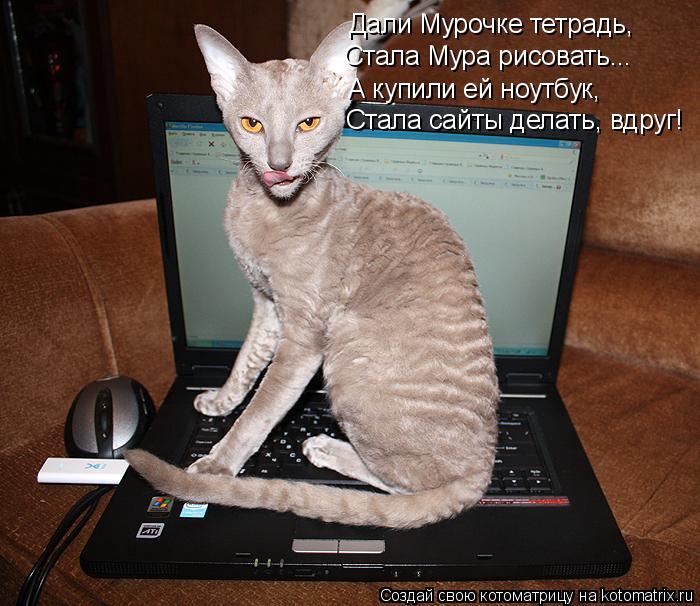 Котоматрица: Стала сайты делать, вдруг! А купили ей ноутбук, Стала Мура рисовать... Дали Мурочке тетрадь,