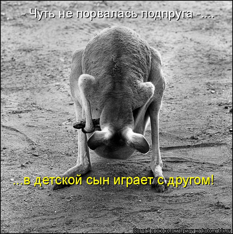 Котоматрица: - Чуть не порвалась подпруга -.... ...в детской сын играет с другом!