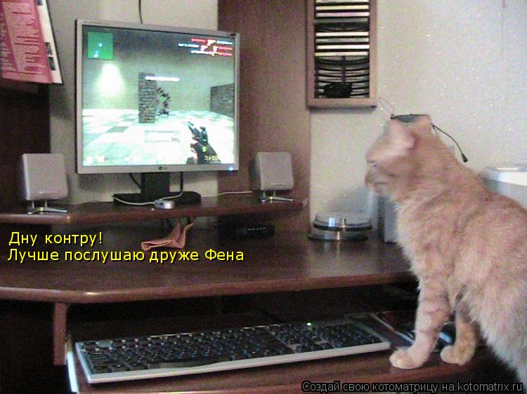 Дну контру! Лучше послушаю друже Фена... Котоматрица: Дну контру! Лучше послушаю друже Фена