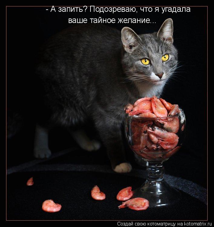 ваше тайное желание... - А запить? Подозреваю, что я угадала... Котоматрица: ваше тайное желание... - А запить? Подозреваю, что я угадала