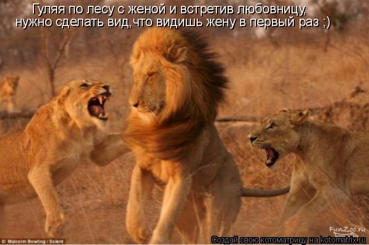 Гуляя по лесу с женой и встретив любовницу, нужно сделать вид,что видишь жену в первый раз ;)... Котоматрица: Гуляя по лесу с женой и встретив любовницу, нужно сделать вид,что видишь жену в первый раз ;)