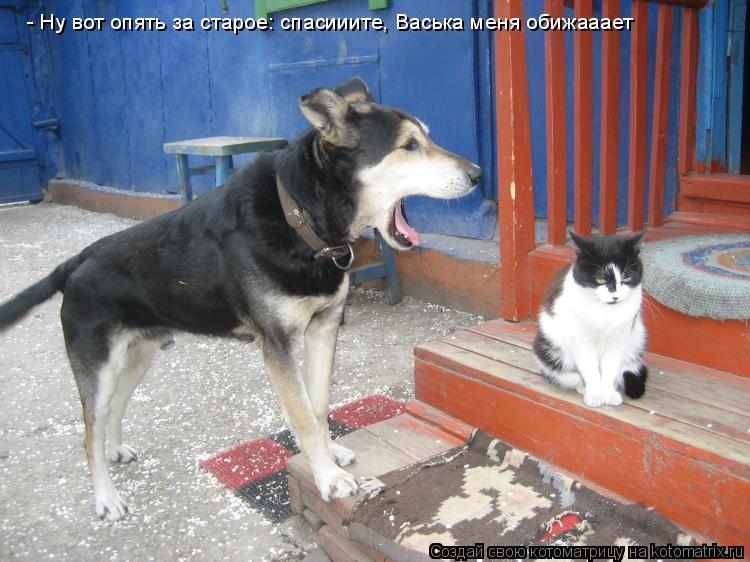 - Ну вот опять за старое: спасииите, Васька меня обижааает... Котоматрица: - Ну вот опять за старое: спасииите, Васька меня обижааает