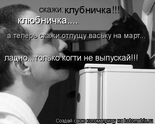 скажи: клубничка!!! клюбничка.... а теперь скажи:отпущу ваську на март... ладно...только когти не вы... Котоматрица: скажи: клубничка!!! клюбничка.... а теперь скажи:отпущу ваську на март... ладно...только когти не выпускай!!!
