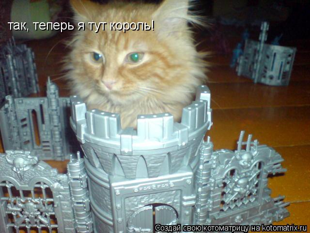 Котоматрица: так, теперь я тут король!
