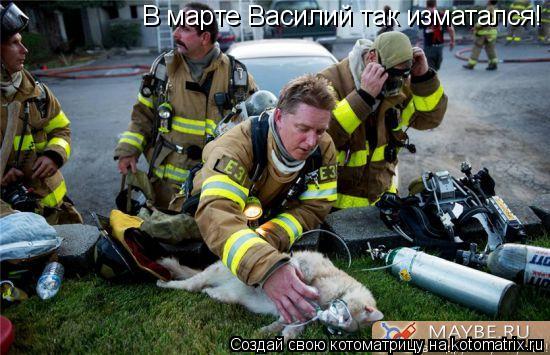 Котоматрица: В марте Василий так изматался!