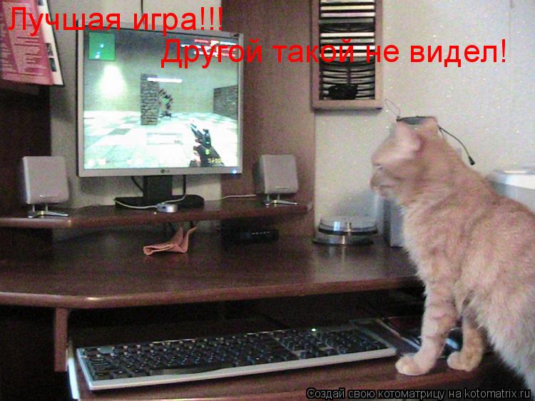 Котоматрица: Лучшая игра!!! Другой такой не видел!