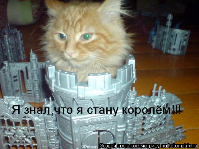 Я знал,что я стану королём!!!... Котоматрица: Я знал,что я стану королём!!!