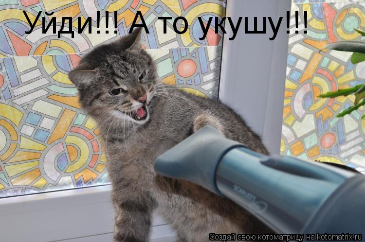 Котоматрица: Уйди!!! А то укушу!!!
