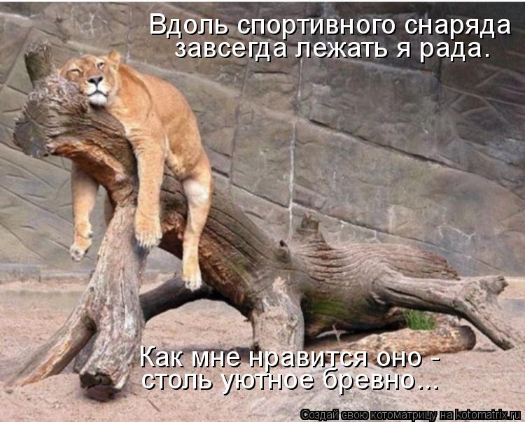 Вдоль спортивного снаряда завсегда лежать я рада. Как мне нравится оно - столь уютное бревно...... Котоматрица: Вдоль спортивного снаряда завсегда лежать я рада. Как мне нравится оно - столь уютное бревно...