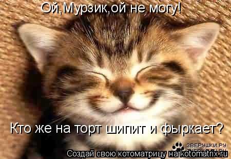 Котоматрица: Ой,Мурзик,ой не могу! Кто же на торт шипит и фыркает?