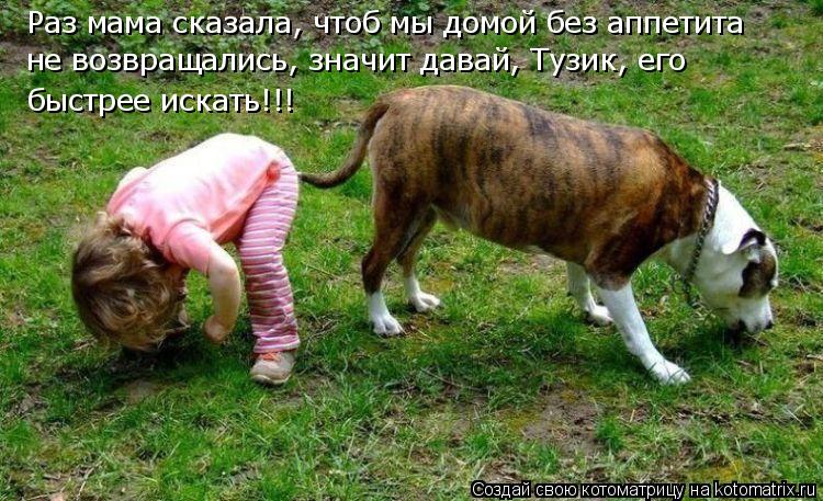 Раз мама сказала, чтоб мы домой без аппетита не возвращались, значит давай, Тузик, его быстрее искать... Котоматрица: Раз мама сказала, чтоб мы домой без аппетита не возвращались, значит давай, Тузик, его быстрее искать!!!