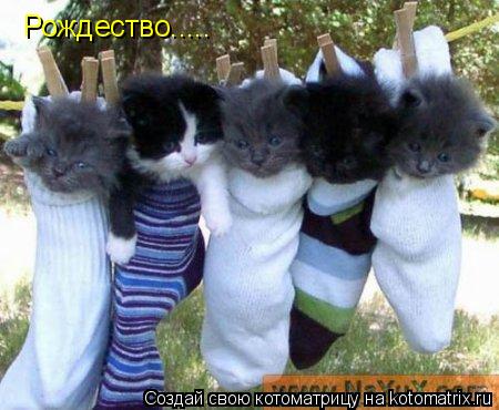 Котоматрица: Рождество.....