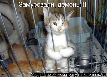 Котоматрица: Замуровали, демоны!!!