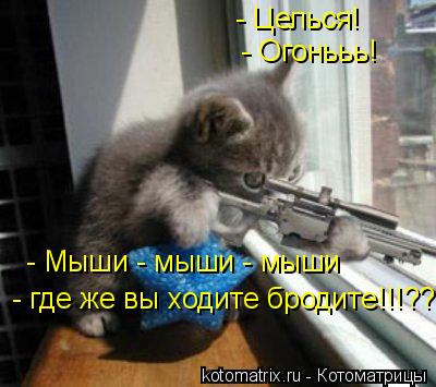 Котоматрица: - Целься!  - Огонььь!  - Мыши - мыши - мыши  - где же вы ходите бродите!!!???