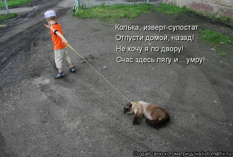 Котоматрица: Колька, изверг-супостат Отпусти домой, назад! Не хочу я по двору! Счас здесь лягу и ...умру!