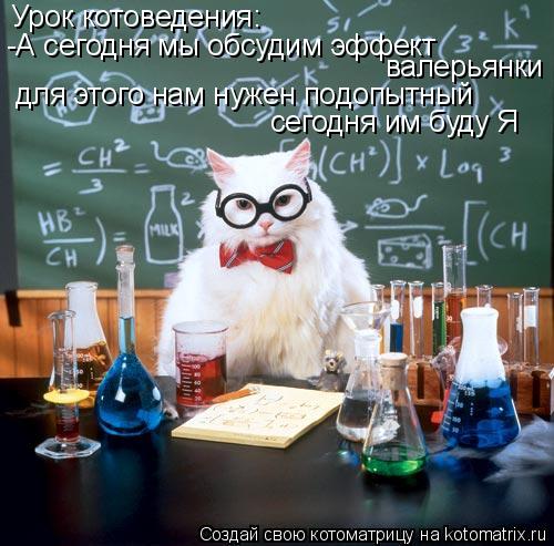 Урок котоведения: -А сегодня мы обсудим эффект валерьянки для этого нам нужен подопытный сегодня им... Котоматрица: Урок котоведения: -А сегодня мы обсудим эффект валерьянки для этого нам нужен подопытный сегодня им буду Я