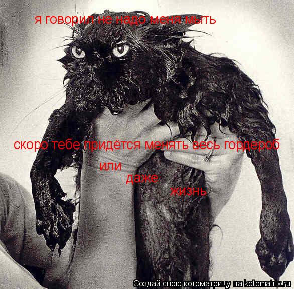 Котоматрица: я говорил не надо меня мыть скоро тебе придётся менять весь гордероб или даже жизнь