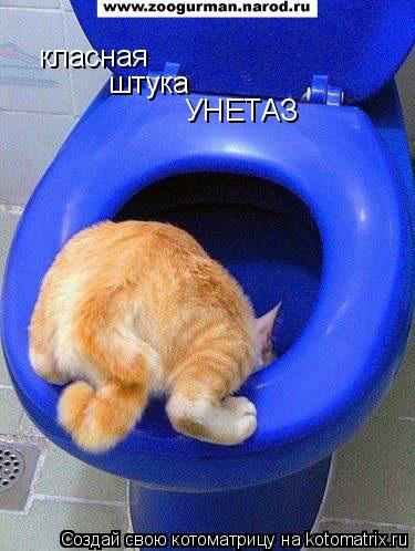 Котоматрица: класная  штука УНЕТАЗ