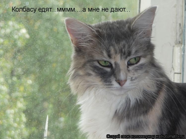 Котоматрица: Колбасу едят...мммм....а мне не дают...