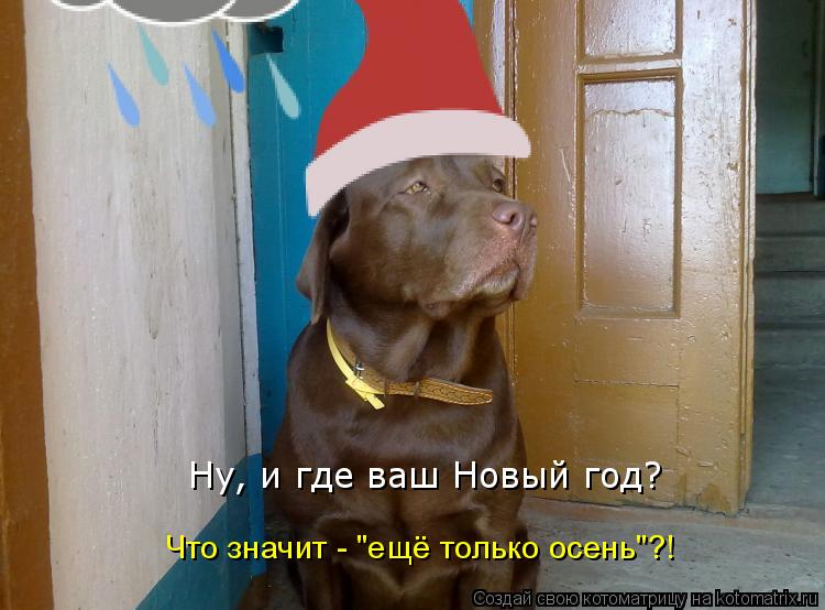 Котоматрица: Ну, и где ваш Новый год? Что значит - "ещё только осень"?!