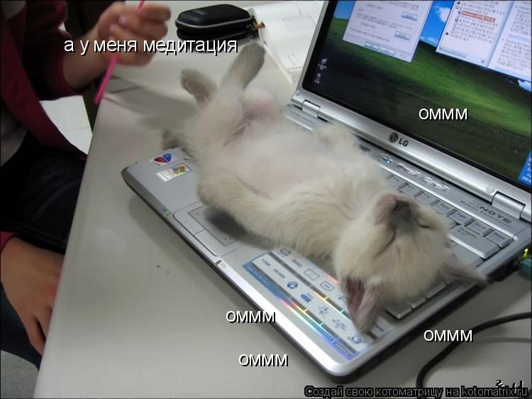 Котоматрица: оммм оммм оммм оммм а у меня медитация