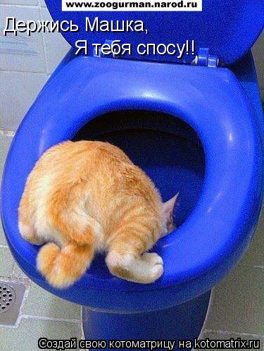 Котоматрица: Держись Машка, Я тебя спосу!!