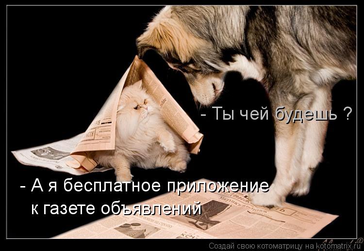 - Ты чей будешь ? - А я бесплатное приложение к газете объявлений... Котоматрица: - Ты чей будешь ? - А я бесплатное приложение к газете объявлений