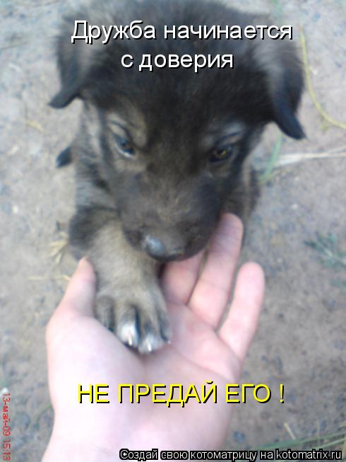 Котоматрица: Дружба начинается с доверия НЕ ПРЕДАЙ ЕГО !