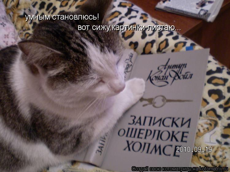 Котоматрица: умным становлюсь! вот сижу,картинки листаю...