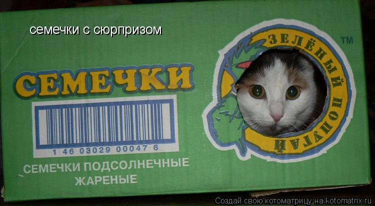 Котоматрица: семечки с сюрпризом