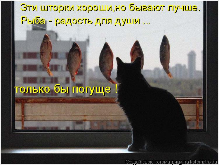 Котоматрица: Эти шторки хороши,но бывают лучше. только бы погуще ! Рыба - радость для души ...