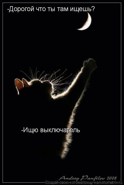 -Дорогой что ты там ищешь? -Ищю выключатель... Котоматрица: -Дорогой что ты там ищешь? -Ищю выключатель