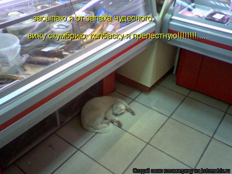 засыпаю я от запаха чудесного вижу скумбрию, колбаску я прелестную!!!!!!!!......... Котоматрица: засыпаю я от запаха чудесного вижу скумбрию, колбаску я прелестную!!!!!!!!......