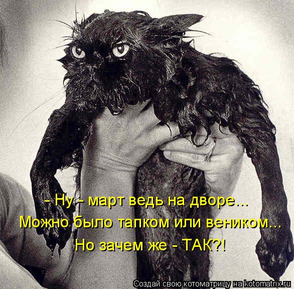 - Ну - март ведь на дворе... Можно было тапком или веником... Но зачем же - ТАК?!... Котоматрица: - Ну - март ведь на дворе... Можно было тапком или веником... Но зачем же - ТАК?!