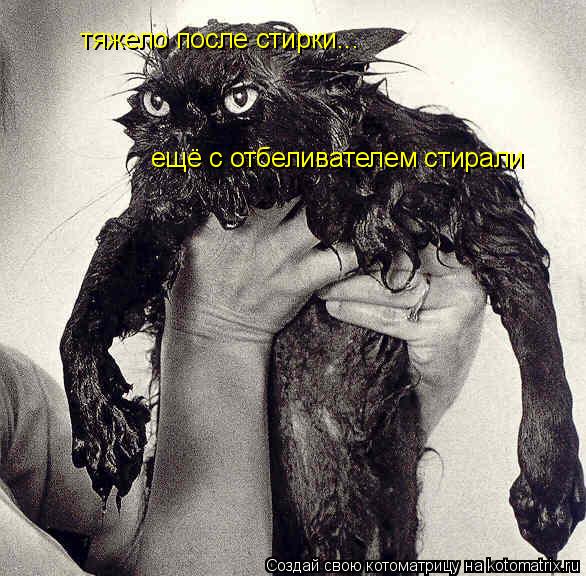 тяжело после стирки... ещё с отбеливателем стирали... Котоматрица: тяжело после стирки... ещё с отбеливателем стирали