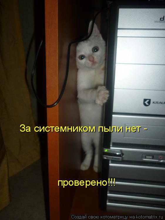 За системником пыли нет - проверено!!!... Котоматрица: За системником пыли нет - проверено!!!