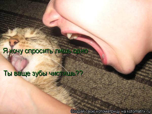 Я хочу спросить лишь одно Ты ваще зубы чистишь??... Котоматрица: Я хочу спросить лишь одно Ты ваще зубы чистишь??