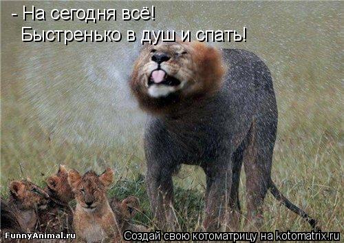 - На сегодня всё! Быстренько в душ и спать!... Котоматрица: - На сегодня всё! Быстренько в душ и спать!