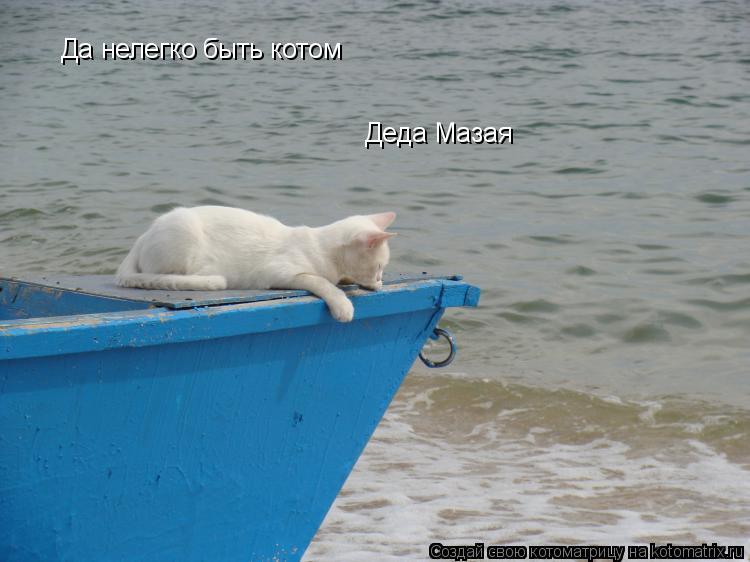 Да нелегко быть котом Деда Мазая... Котоматрица: Да нелегко быть котом Деда Мазая