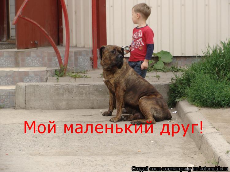 Мой маленький друг!... Котоматрица: Мой маленький друг!