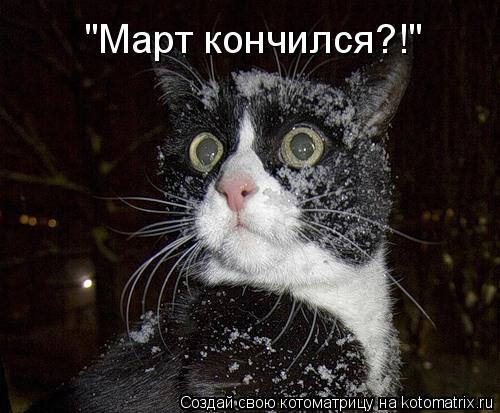 "Март кончился?!"... Котоматрица: "Март кончился?!"